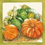 Wunderschöner Kürbis - Pumpkin - Zucca