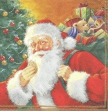 Weihnachtsleckereien für Santa - Santas joy - Biscuits de Noël pour Santa