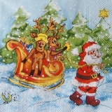 Weihnachtsmann mit Schlitten - Pere Noel - Santa with sleigh