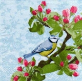 Blaumeise, Vogel & Spitze - Blue tit, bird & lace - Mésange bleue, oiseau et dentelle