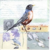 Brief, Vögel, Blumen, Briefmarke... - Brids, Letter, Flowers, Stamp ... - Lettre, oiseaux, fleurs, timbre ...