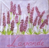 Lavendel - Lavender - Lavande