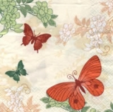 Schmetterlinge auf Blütensuche creme
