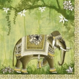 Indischer Elefant- Indian Elephant