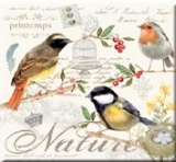 Vogelwelt - Bird Nature - Monde d oiseau