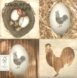 Hähne & Nest - Rooster