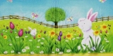 Versteckspiel auf einer Blumenwiese - Rabbit Hide & seek on a flower meadow - Lièvres le jeu de cache-cache sur un pré de fleurs