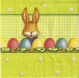 Süßes Häschen mit Ostereiern - Cute Bunny & easter eggs
