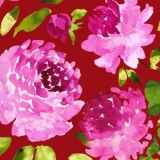 Rosarote Blüten - Beautiful Flowers