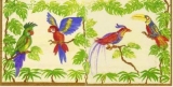 Vögel im Urwald - Exotic birds