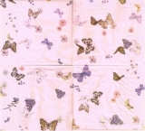 Schmetterlingstanz- Dancing butterflies - Papillons de danse