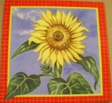 Hübsche Sonnenblume - Sunflower