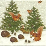 Hase, Igel, Eichhörnchen & Rotkehlchen im Schnee - Its snowing for Rabbit, Squirrl, Hedgehog & Robin