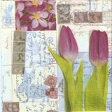 Tulpen & Postkarten