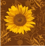 Sonnenblumen auf Muster - Sunflower on pattern
