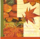 Kürbis & Laub - Pumpkin & foliage - Courge & feuillage