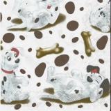 Süße Dalmatinerwelpen - Sweet Dalmatian puppies - Mignons Chiots Dalmatiens