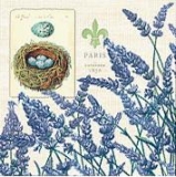French Lavender & birds nest