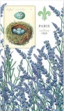 French Lavender & birds nest