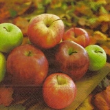 Saftige Äpfel - Juicy Apples - Pommes juteuses