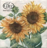 Sonnenblumen - Sunflowers - Tournesol - Mirasol