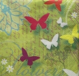 Kleiner Schmetterlingsschwarm - Little butterfly swarm - Petit essaim de papillon