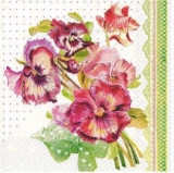 Strauß Stiefmütterchen - Bunch of pansies - Bouquet de violettes