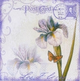 Iris, Schmetterling & Postkarte - Iris Post Card & butterfly - Les Flores