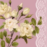 Weiße Rosen & Spitze rosé - White Roses & Lace - Roses blanches & dentelle