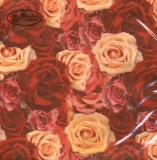 Rosenteppich - Roses