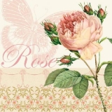 Rose & zarter Schmetterling - Rose & delicate butterfly - Rose et papillon délicat