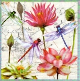 Libellen an Lilien - Dragonflies on lilies - Libellules sur lys