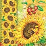 Sonnenblumen - Sunflower - Tournesol