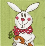 Hasi mit Möhre - Bunny with carrot - Lapin avec carotte