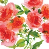 Wildwachsende Rosen - Wild Roses - Roses grandissantes de gibier