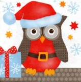 Eulenweihnacht - Christmas owl - Hiboux de Noël