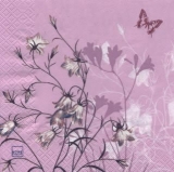 Glockenblumen & Schmetterlinge - Bellflower & Butterflies - Campanules & papillons