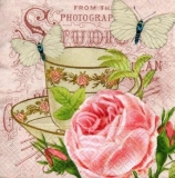 Tasse, Rosen & Schmetterlinge - Cup, Roses & Butterflies - Coupe, roses et de papillons