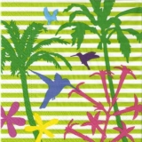 Kolibris an Blüten unter Palmen - Hummingbirds & flowers under palm trees - Colibris sur les fleurs sous les palmiers