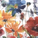 Mohn & andere Blumen - Poppies and other flowers - Coquelicots et autres fleurs