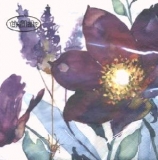 Lila Blumen - Purple flowers - Fleurs violettes