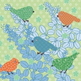 Bunte Vögel auf Zweigen - Colourful birds on twigs grün - Oiseaux colorés sur les branches