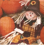 Vogelscheuche & Kürbis - Scarecrow and pumpkin - Épouvantail et potiron