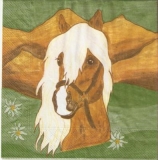 5 Haflinger Pferde - Horses - Chevaux