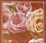 Verschiedene Rosen - different roses - différents roses