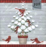 Vögel mit Schal an schneebedecktem Bäumchen - Birds with scarf on snow-covered tree - Oiseaux avec lécharpe sur larbre enneigé