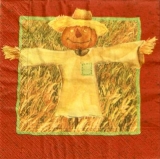 Vogelscheuche - Scarecrow - épouvantail