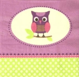 Filou die kleine Eule - the little Owl - le petit hibou