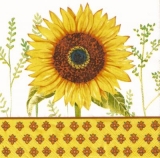 Hübsche Sonnenblume - Pretty Sunflower - Joli tournesol