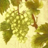 Weinstock mit hellen Trauben - Vine with white grapes - Vigne avec des raisins blancs